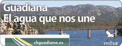 Redex Guadiana