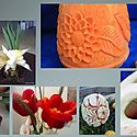 Presentaci&oacute;n del Curso de Iniciaci&oacute;n “Talla de frutas y Hortalizas