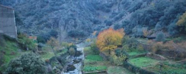 VII Seminario sobre Investigacin en territorio y desarrollo rural