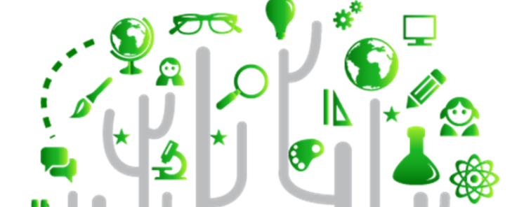 Aceleradora de Emprendimiento Social 2016