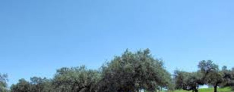 JORNADA DE PRESENTACIN DEL PROYECTO TRANSFRONTERIZO PRODEHESAMONTADO