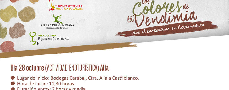 Actividades Enotursticas Colores de la Vendimia