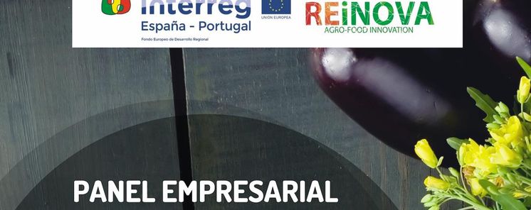 Paneles Empresariales REINOVA