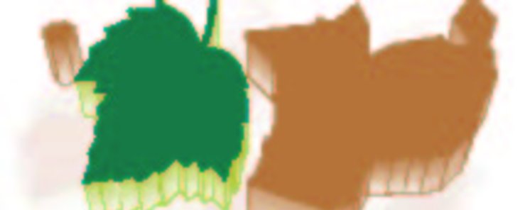 ADEBO celebrar Asamblea de renovacin de cargos el prximo 3 de diciembre 