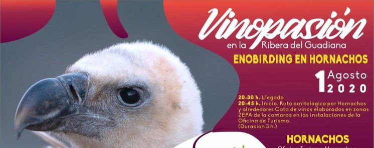 Jornada en Hornachos de Vino Pasin