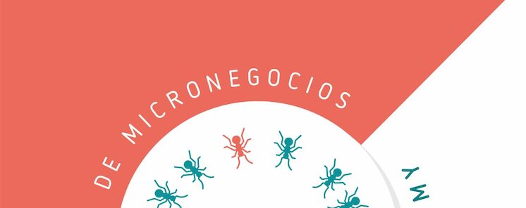 Informacin Escuela de Micronegocios edicin Mrida