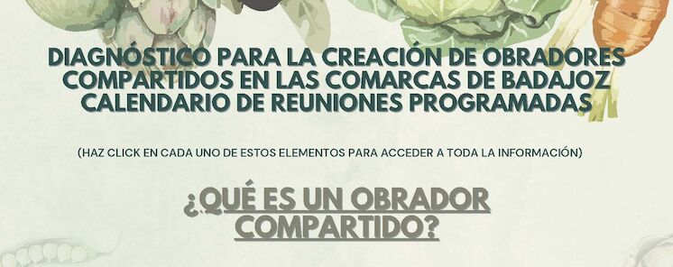 DIAGNOSTICO PARA LA CREACIN DE OBRADORES COMPARTIDOS EN LA COMARCA TIERRA DE BARROS