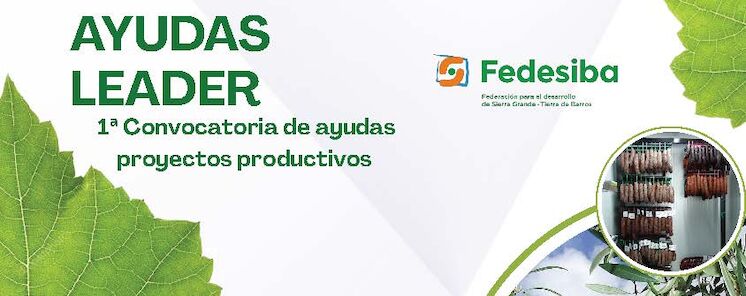 FEDESIBA presenta la 1 Convocatoria de Ayudas del Programa Enfoque Leader 20232027 