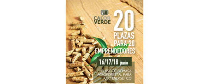 REMUFOR organiza cursos para emprender en el sector de la biomasa