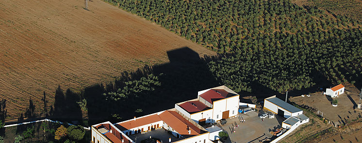 Inauguracin oficial del complejo enoturstico Hotel Bodega El Moral 