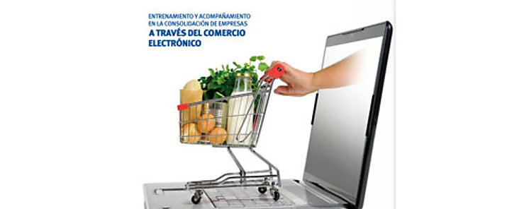 Proyecto de Entrenamiento y Acompaamiento en la Consolidacin de Empresas a travs del Comercio Electrnico