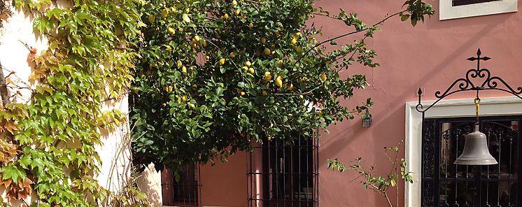 Inaugurado oficialmente el complejo turstico Finca Villa Juan Casa Rural y Eventos en Ribera del Fresno