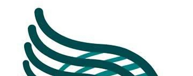 Almendralejo acoge la jornada de presentacin de la Red Base