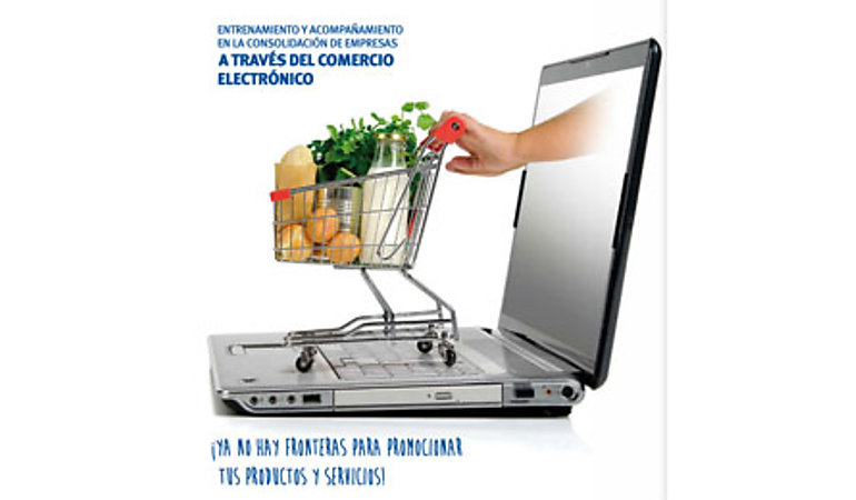 Proyecto de Entrenamiento y Acompaamiento en la Consolidacin de Empresas a travs del Comercio Electrnico