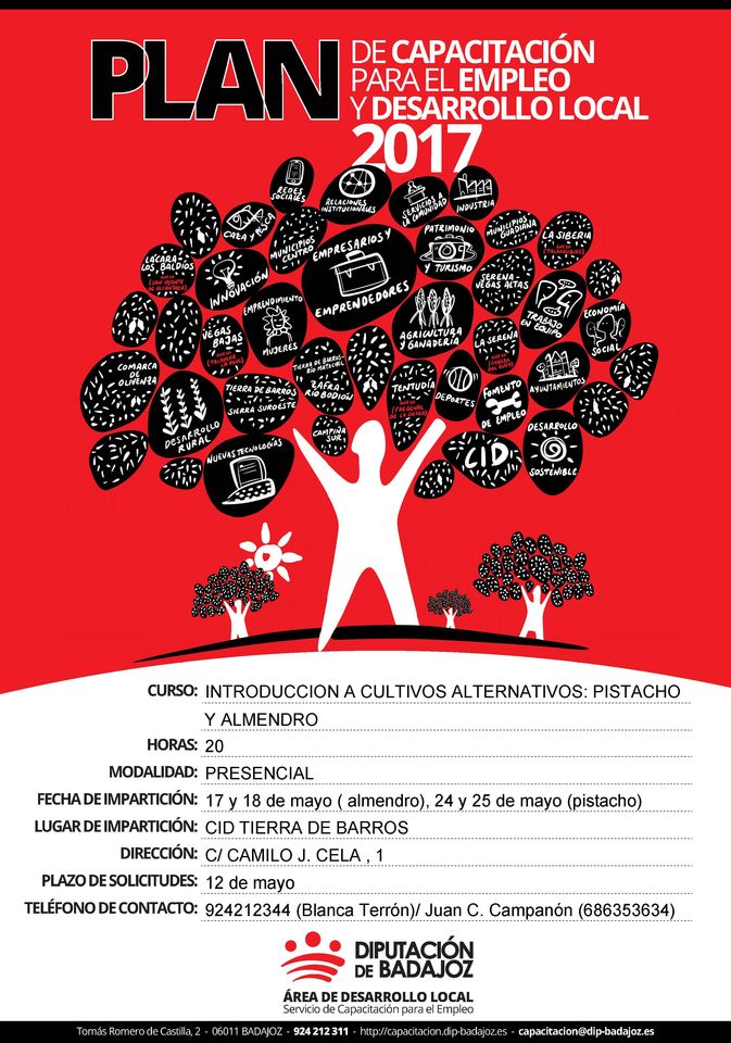 La Diputación pone en marcha el Plan de Capacitación para el Empleo y ...