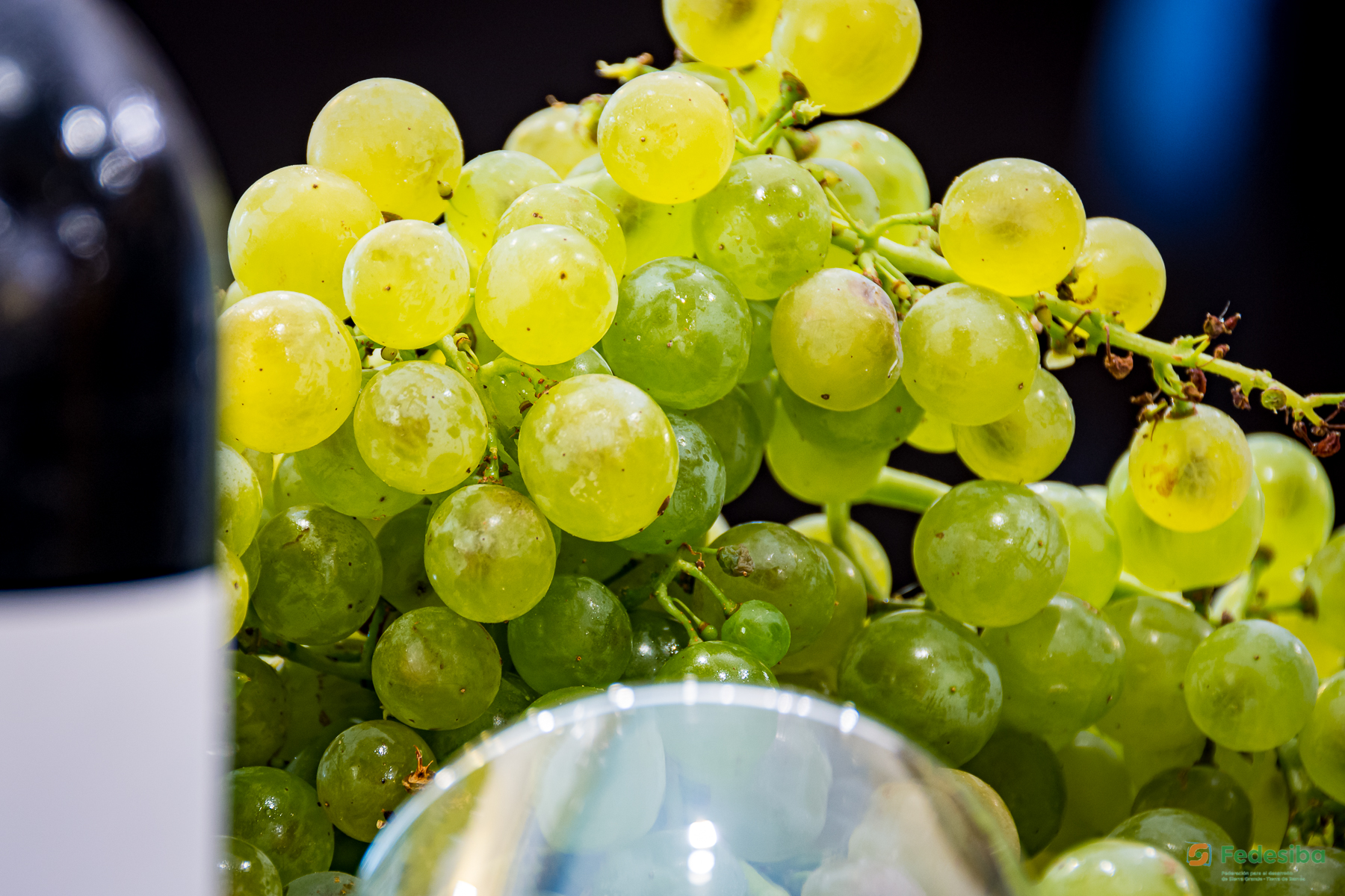 Gastronomia y Restauración