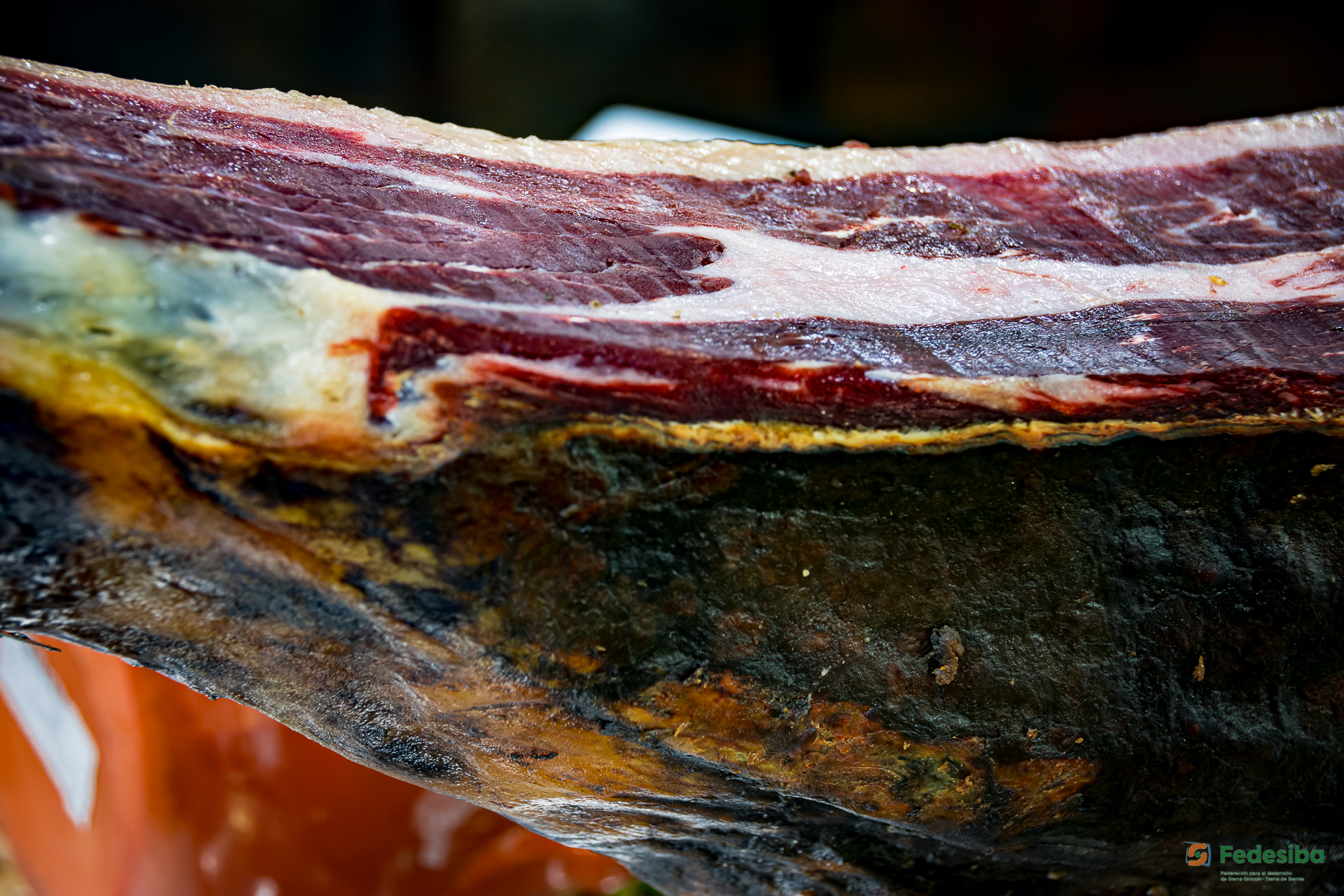 Gastronomia y Restauración