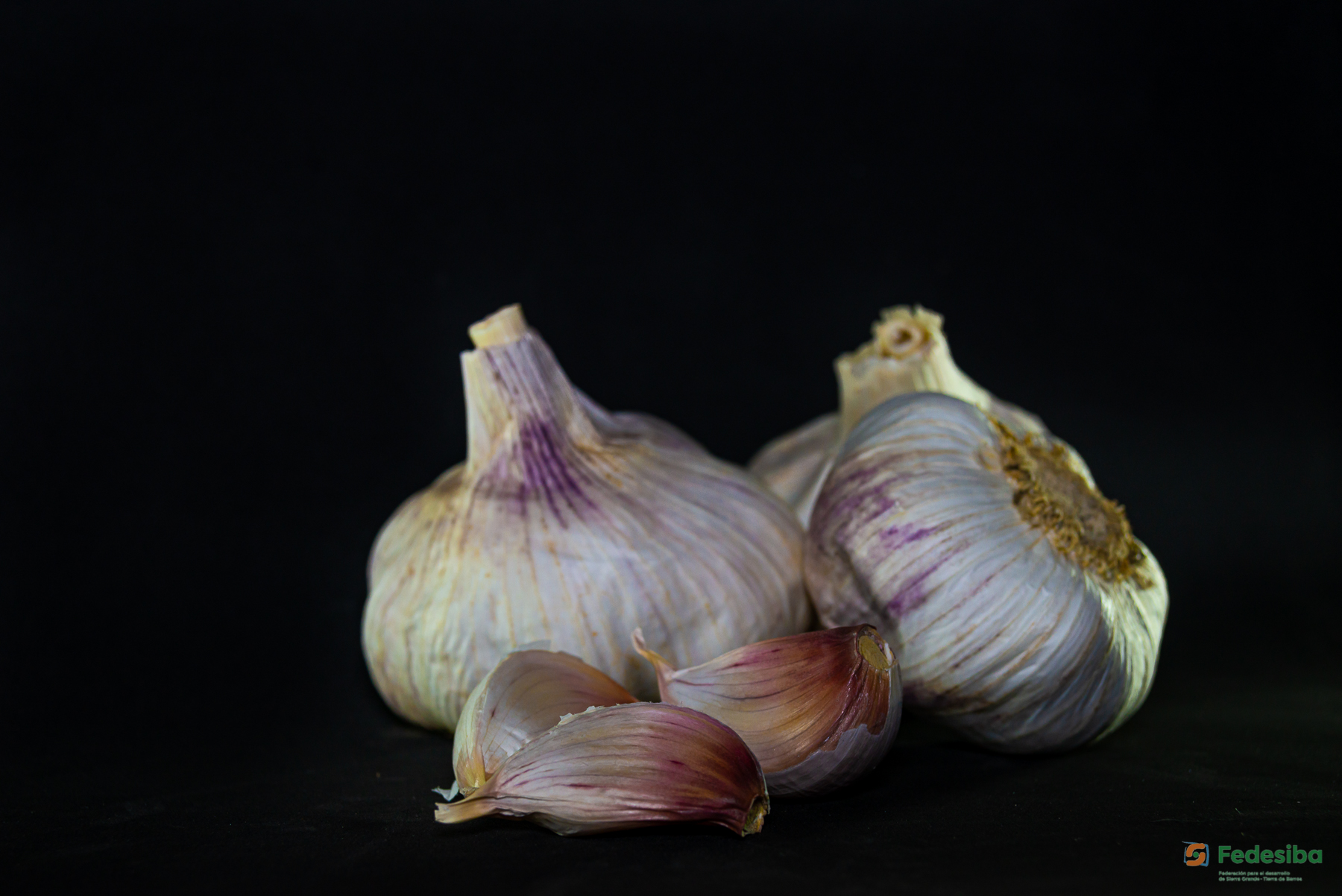 Gastronomia y Restauración