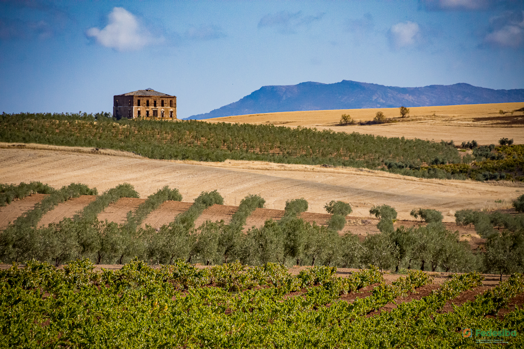 Gastronomia y Restauración