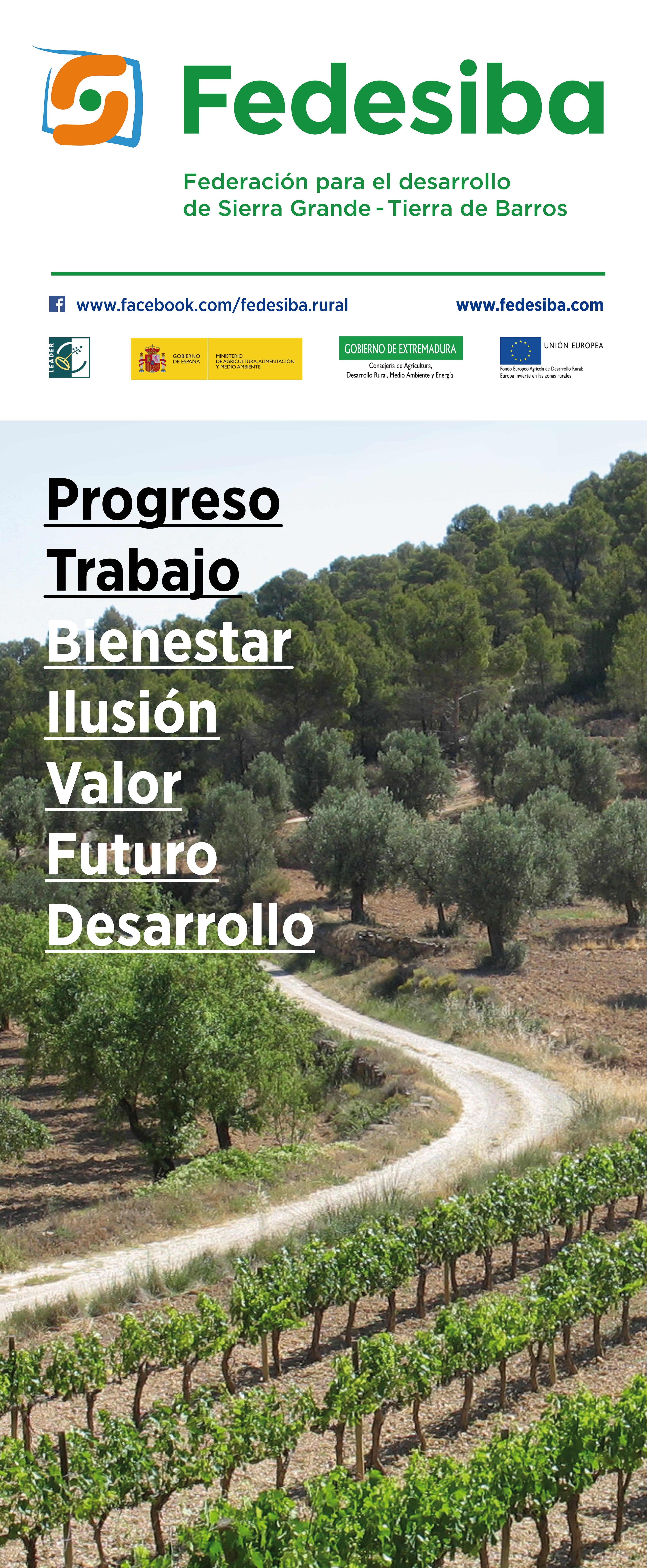 Fedesiba llevará a cabo su asamblea general ordinaria el día 12 de junio (Cartel)